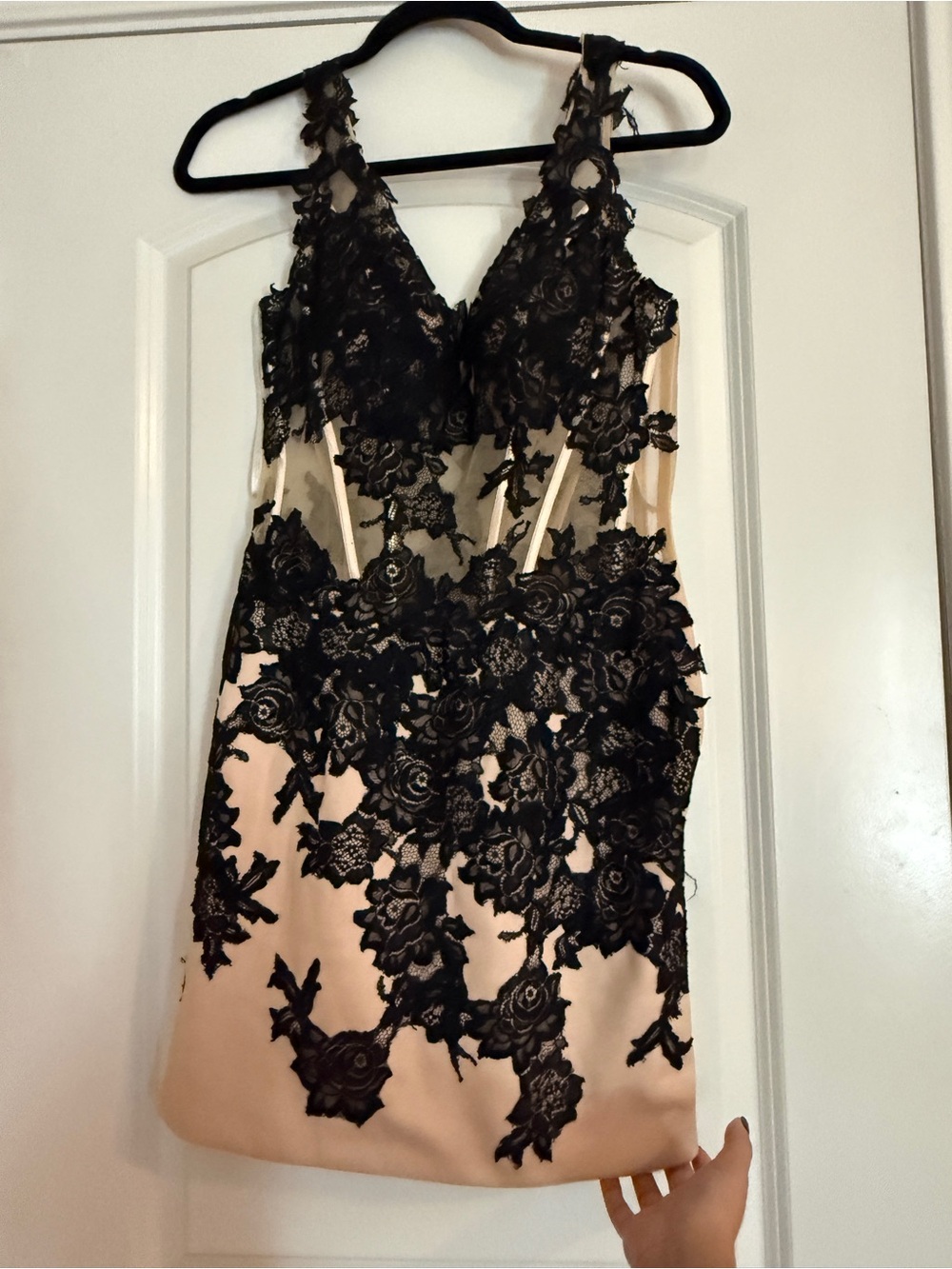 Women's Black Lace Appliqué Sheath Dress - Nude/Black